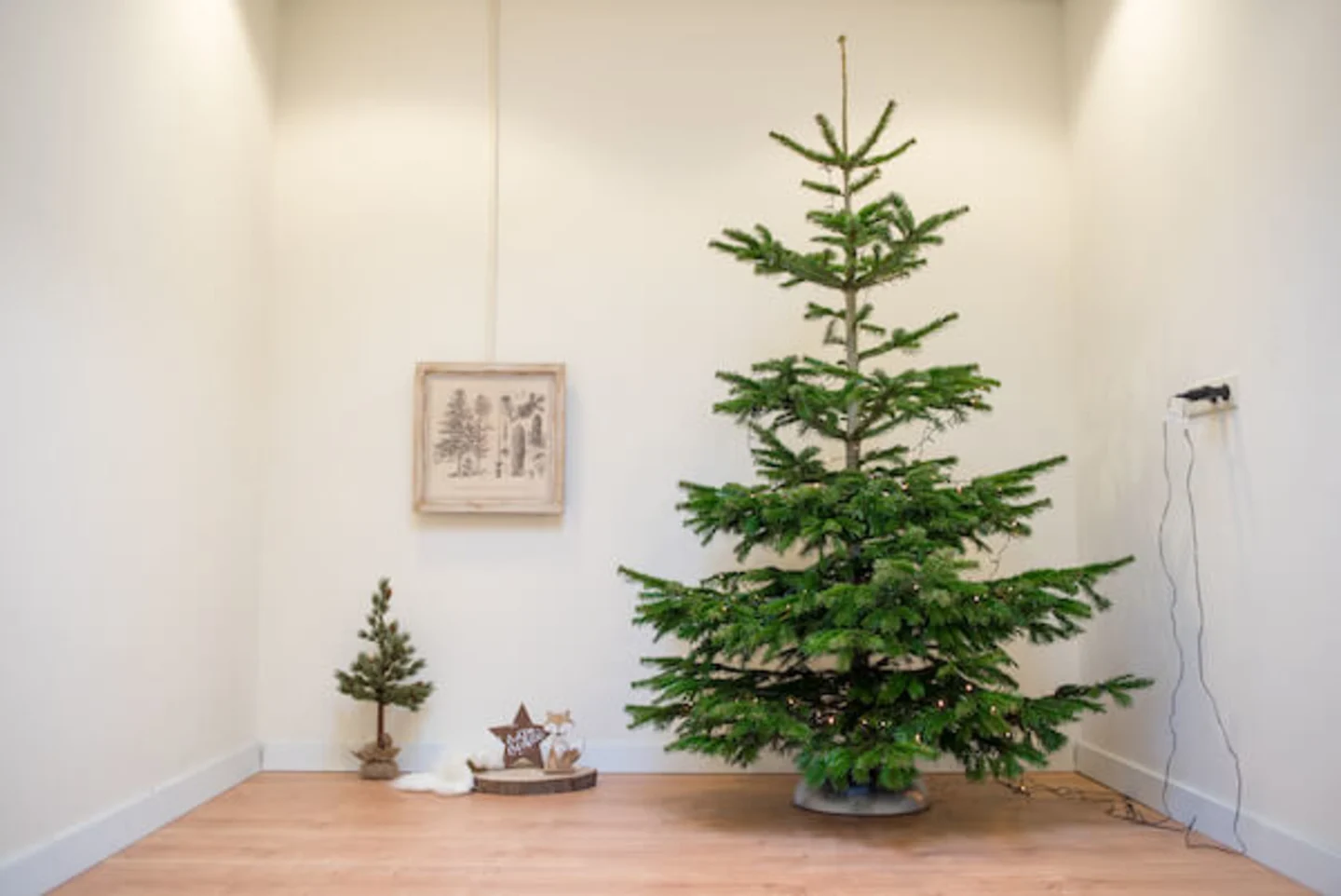 kerstboom verlichting ophangen