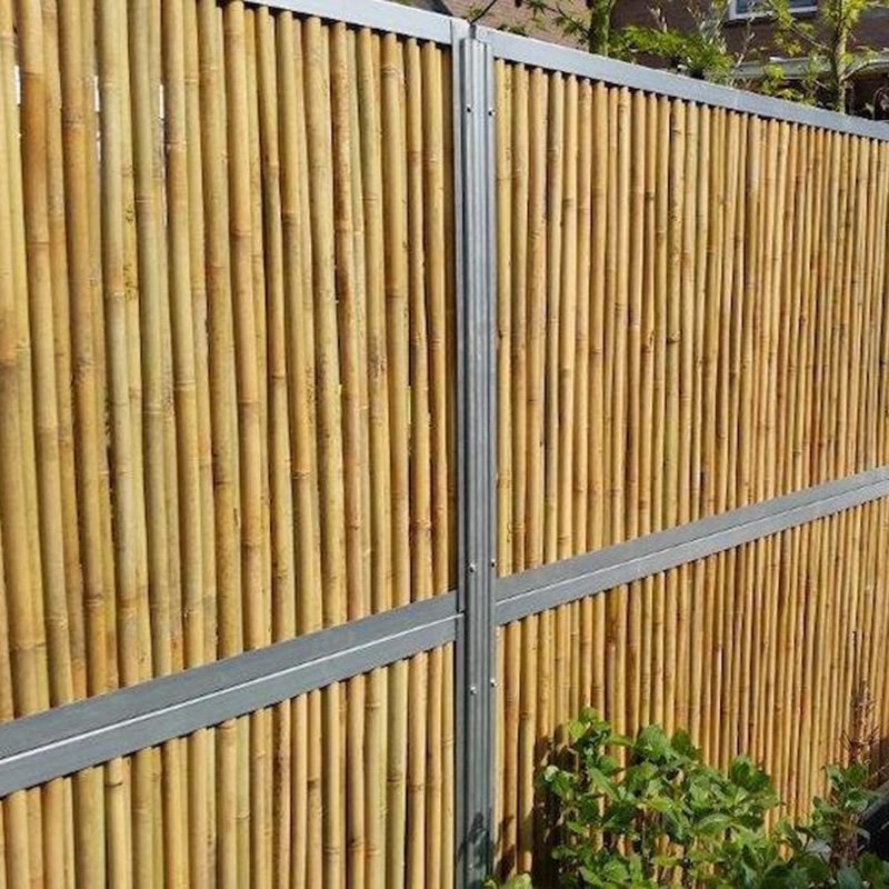 Natuurlijke schutting