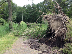 Stormschade schutting verzekering 
