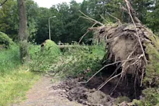 Stormschade schutting verzekering 