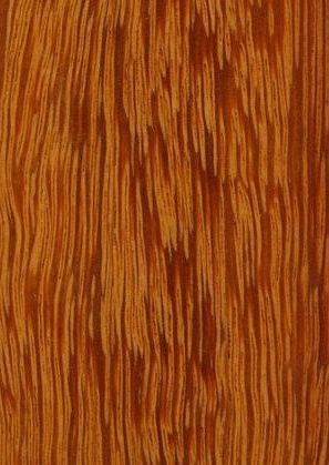 Fava Amargosa houtsoort 