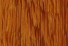 Fava Amargosa houtsoort 
