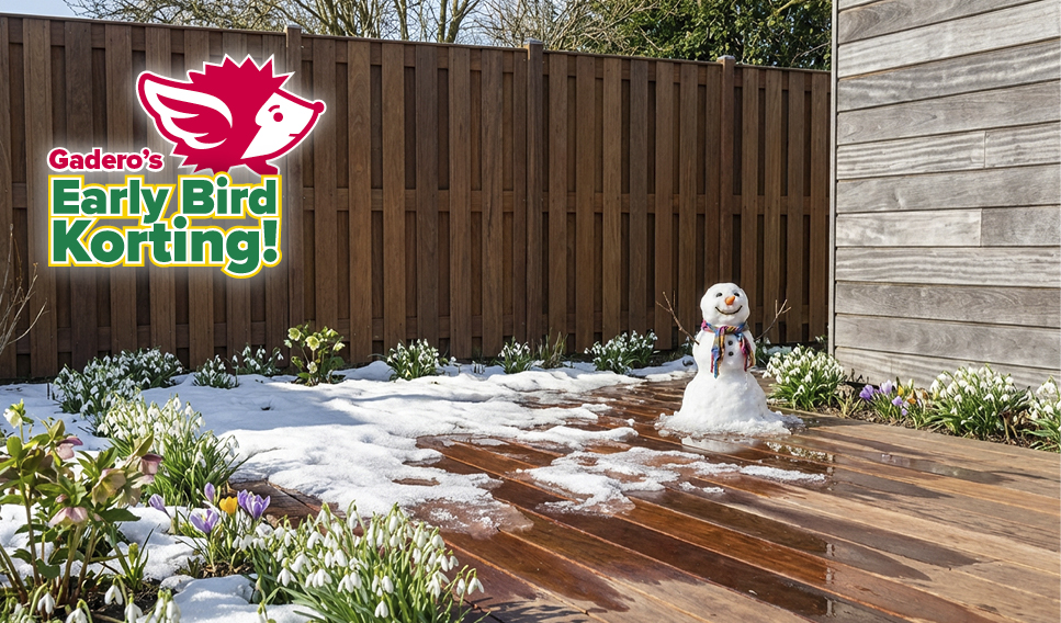 Banner Home D EB SVG NL 725x426