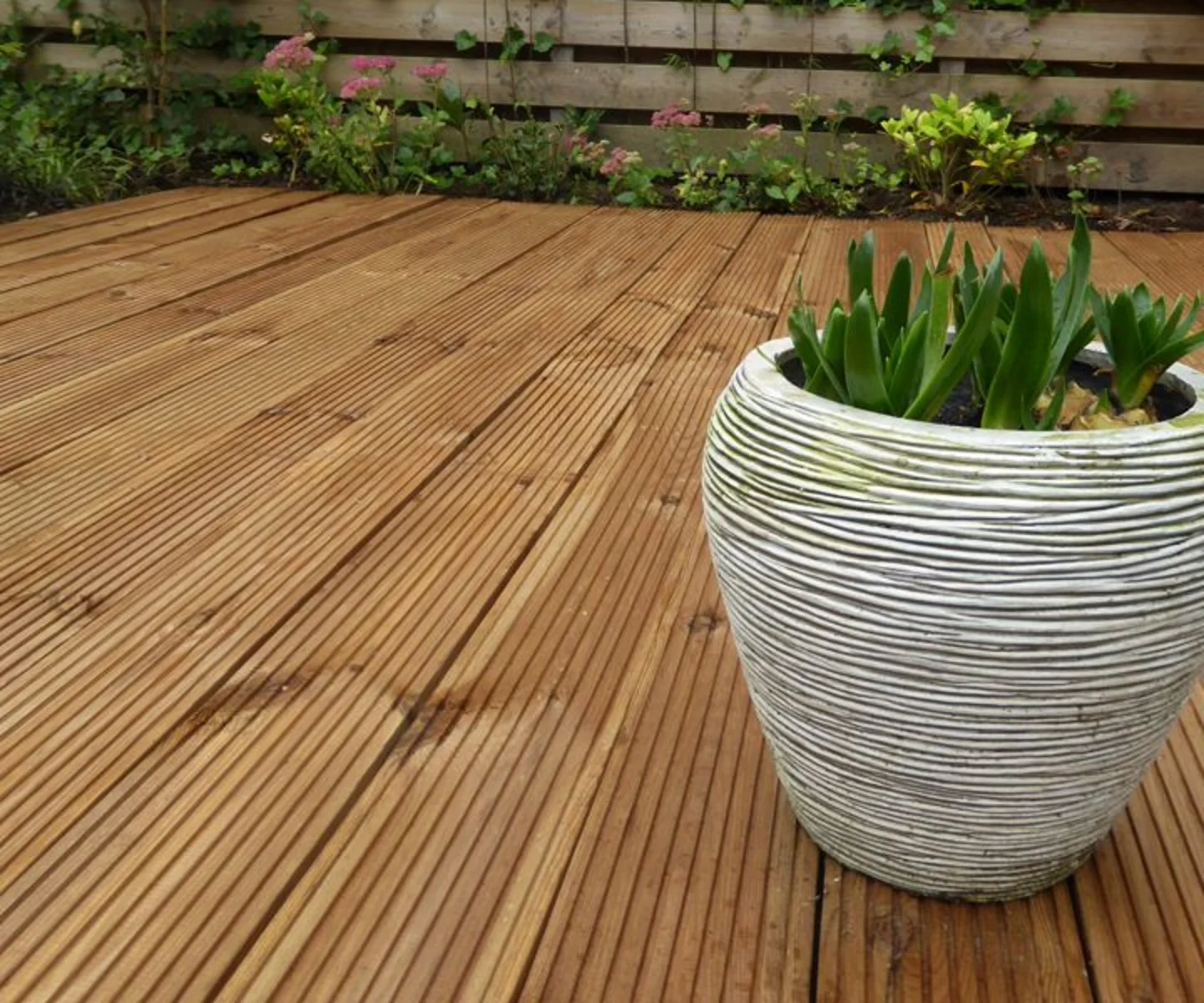 gewolmaniseerd hout