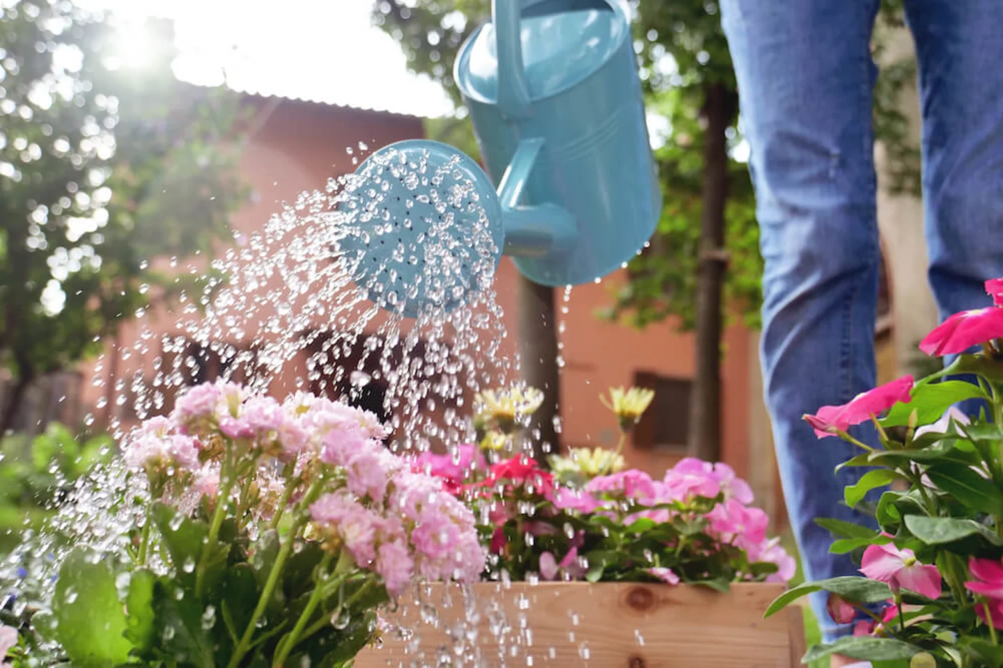 Borderpakket water geven