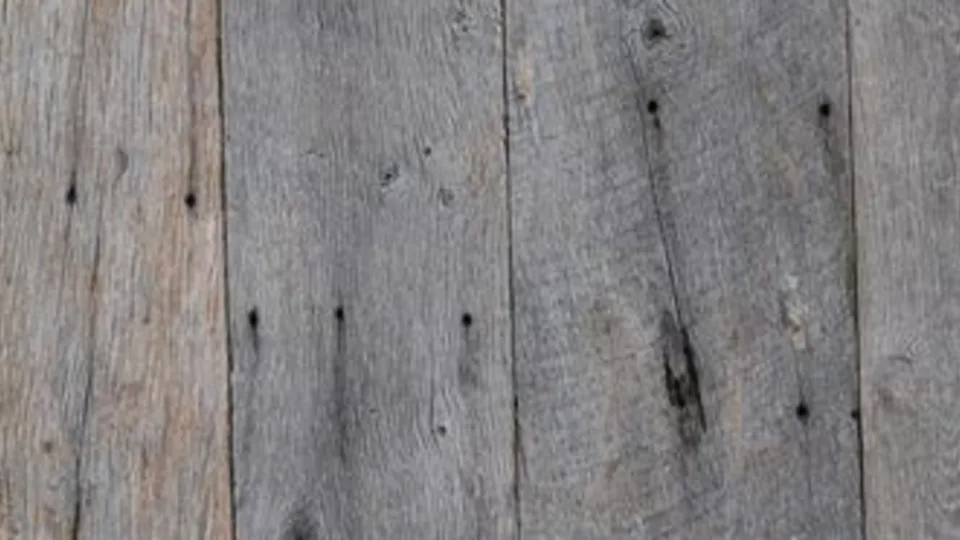 Barnwood hout