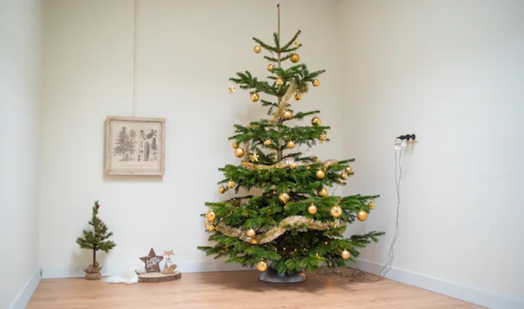 kerstboom versieren