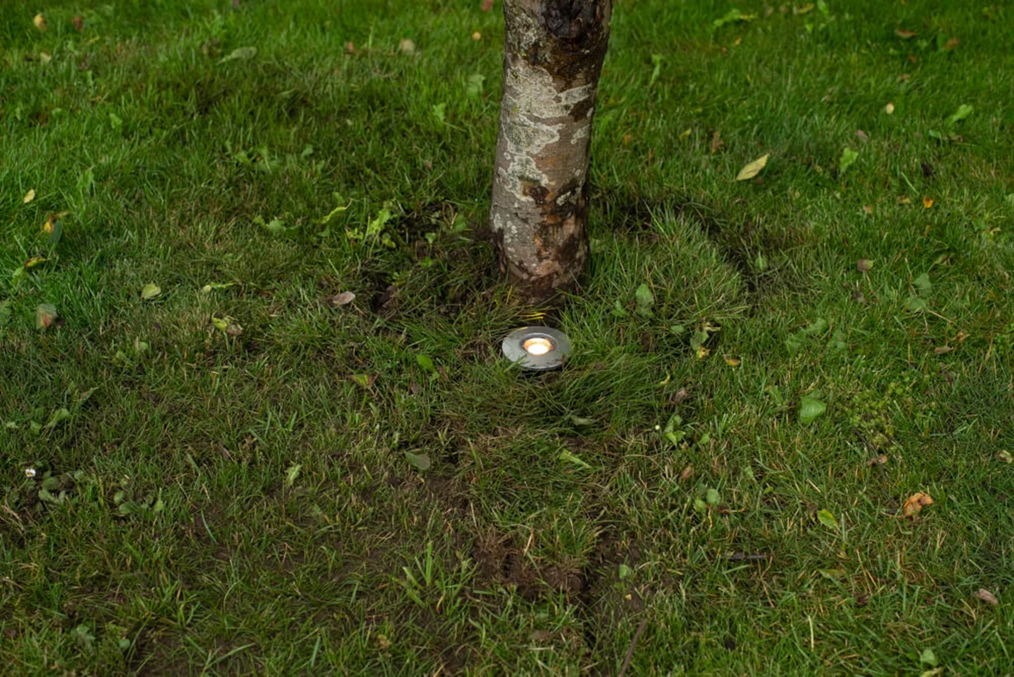 Grondverlichting in gras