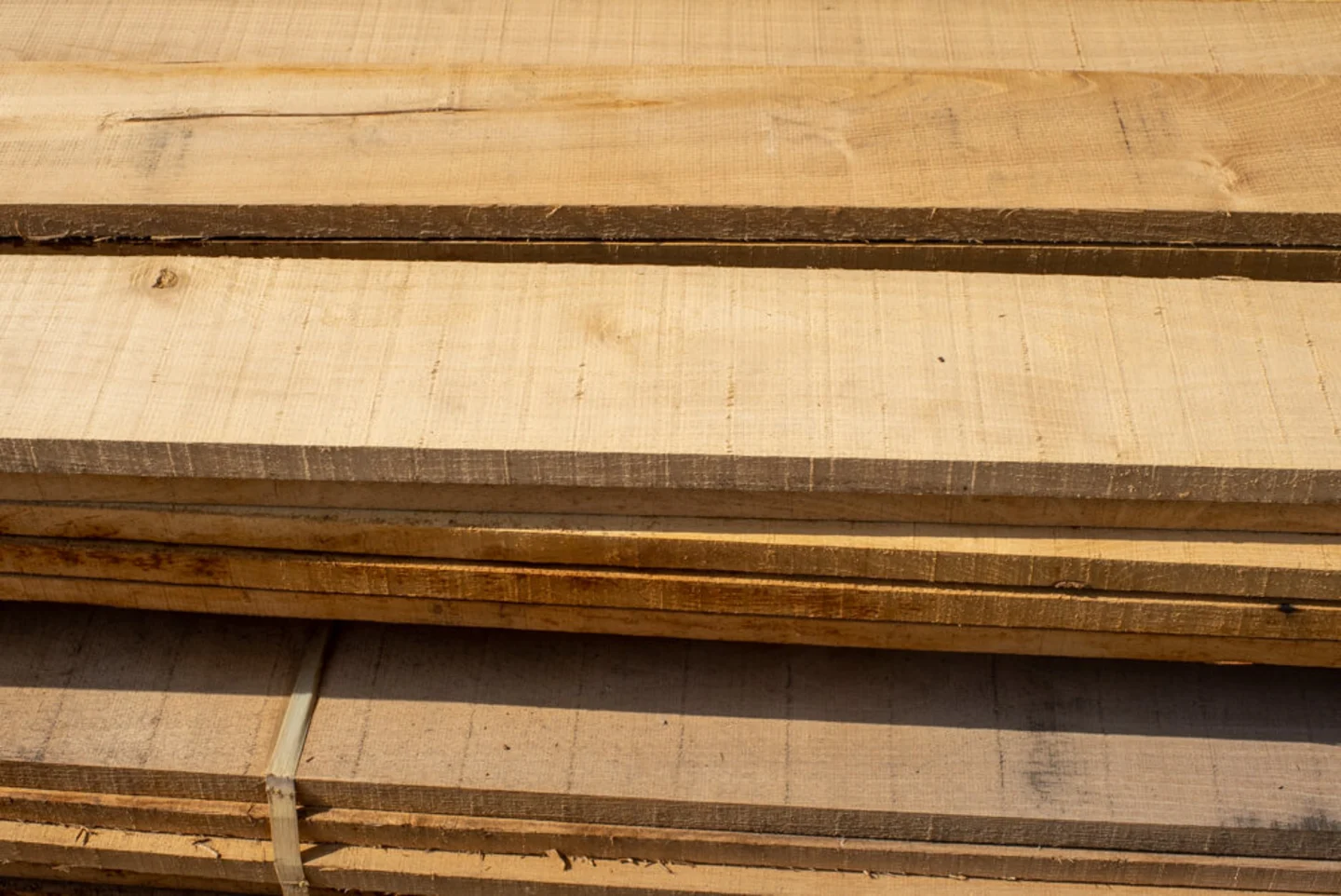 Robinia hout