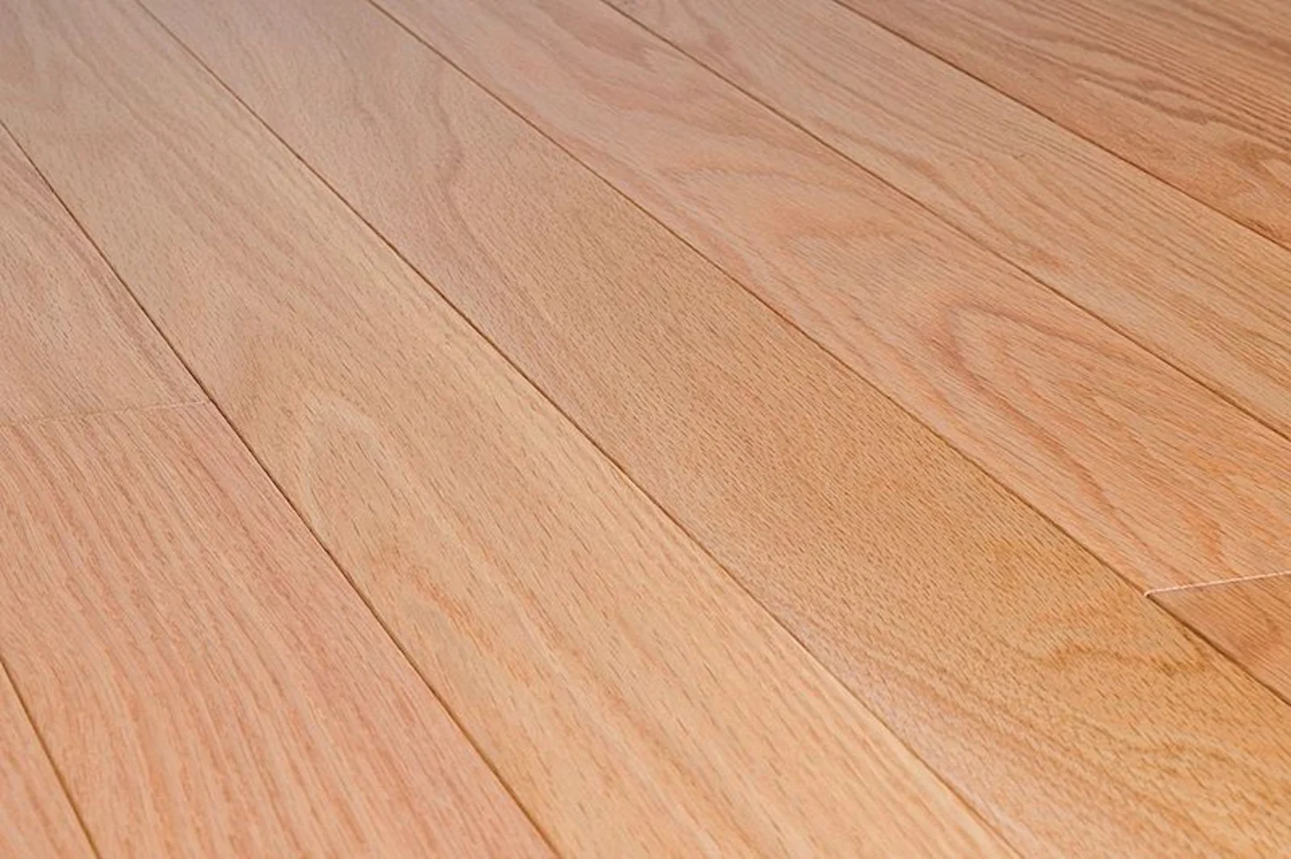 Amerikaans Rood eiken