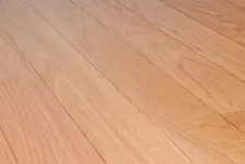 Amerikaans Rood eiken