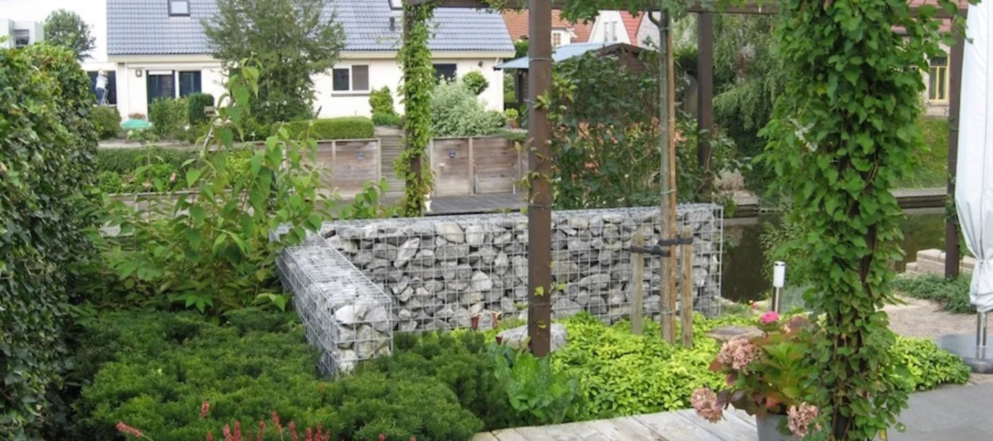 Des plantes grimpantes pour votre pergola