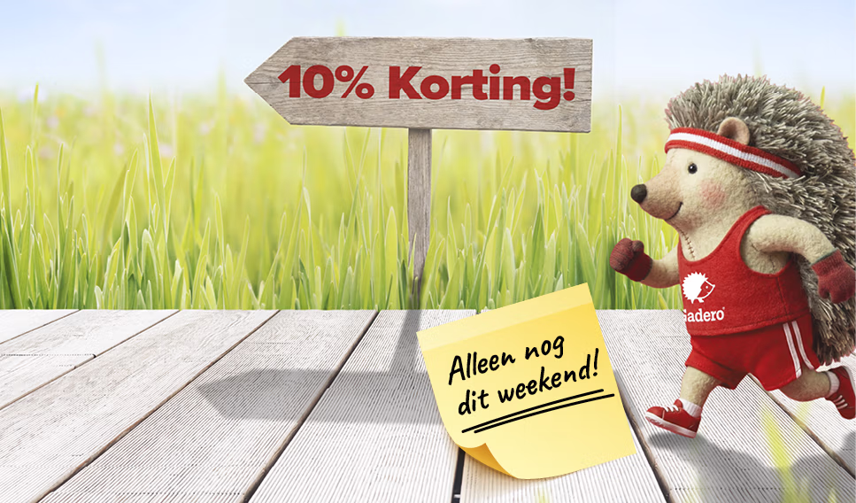 Banner Home D Hardlopers NL LK 725x426