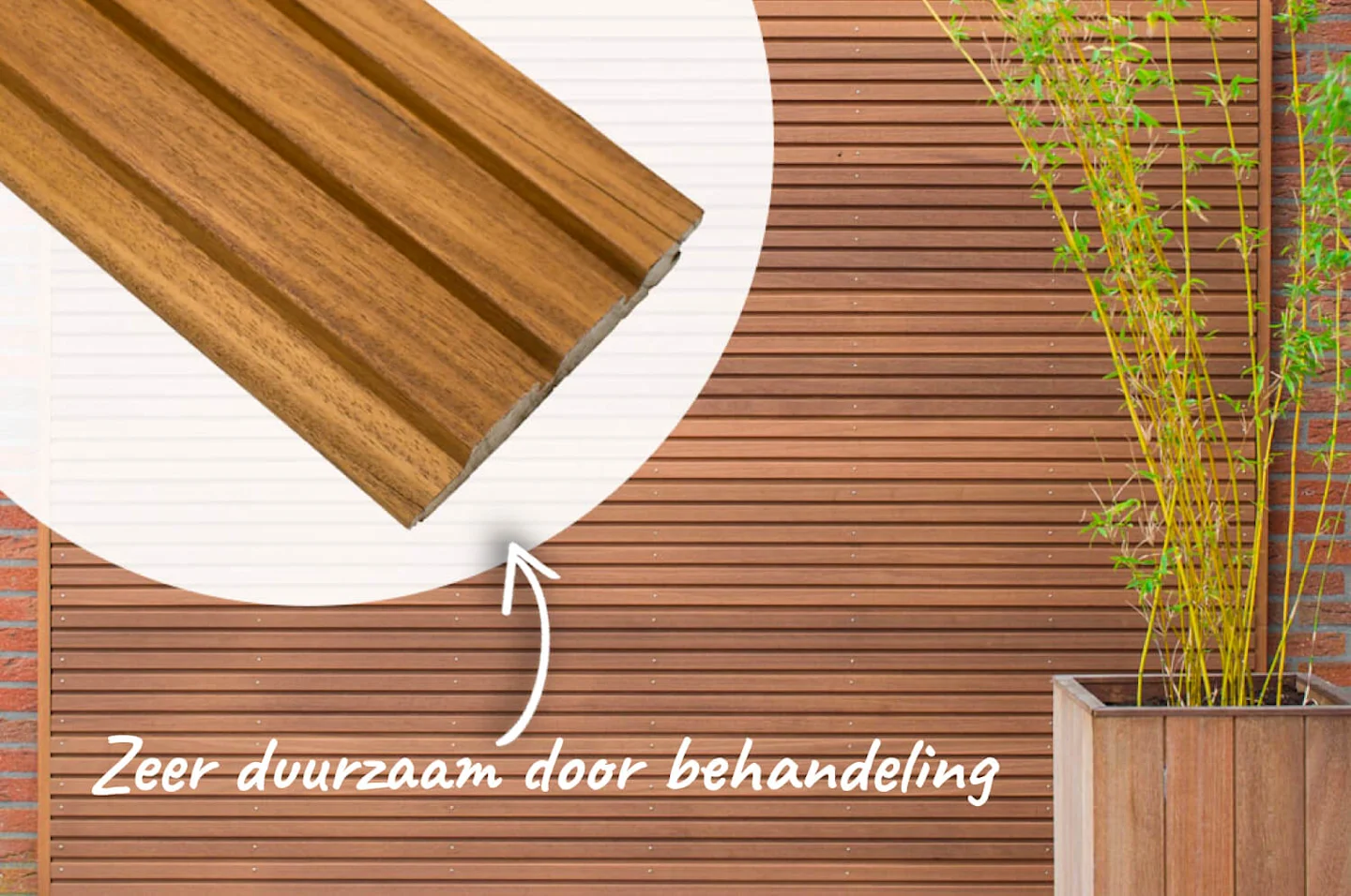 Ayous gevelbekleding