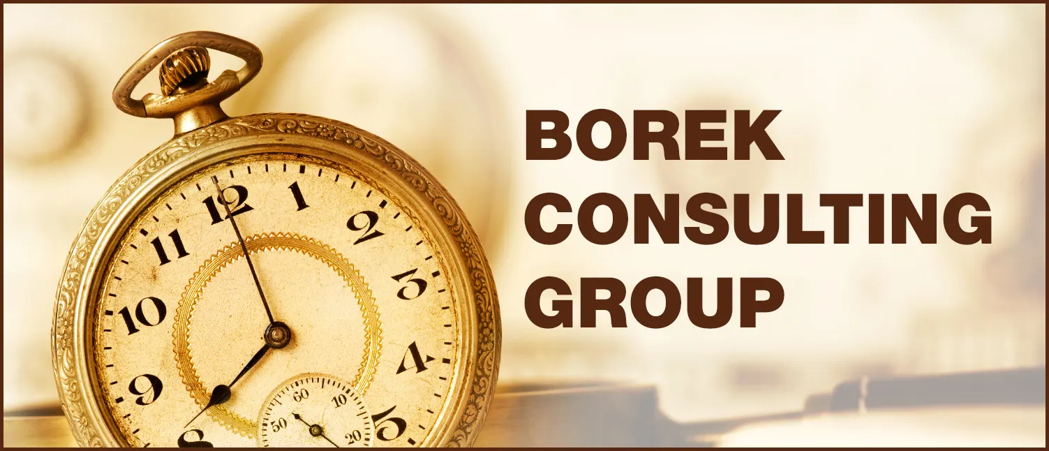 Borek Consulting Group