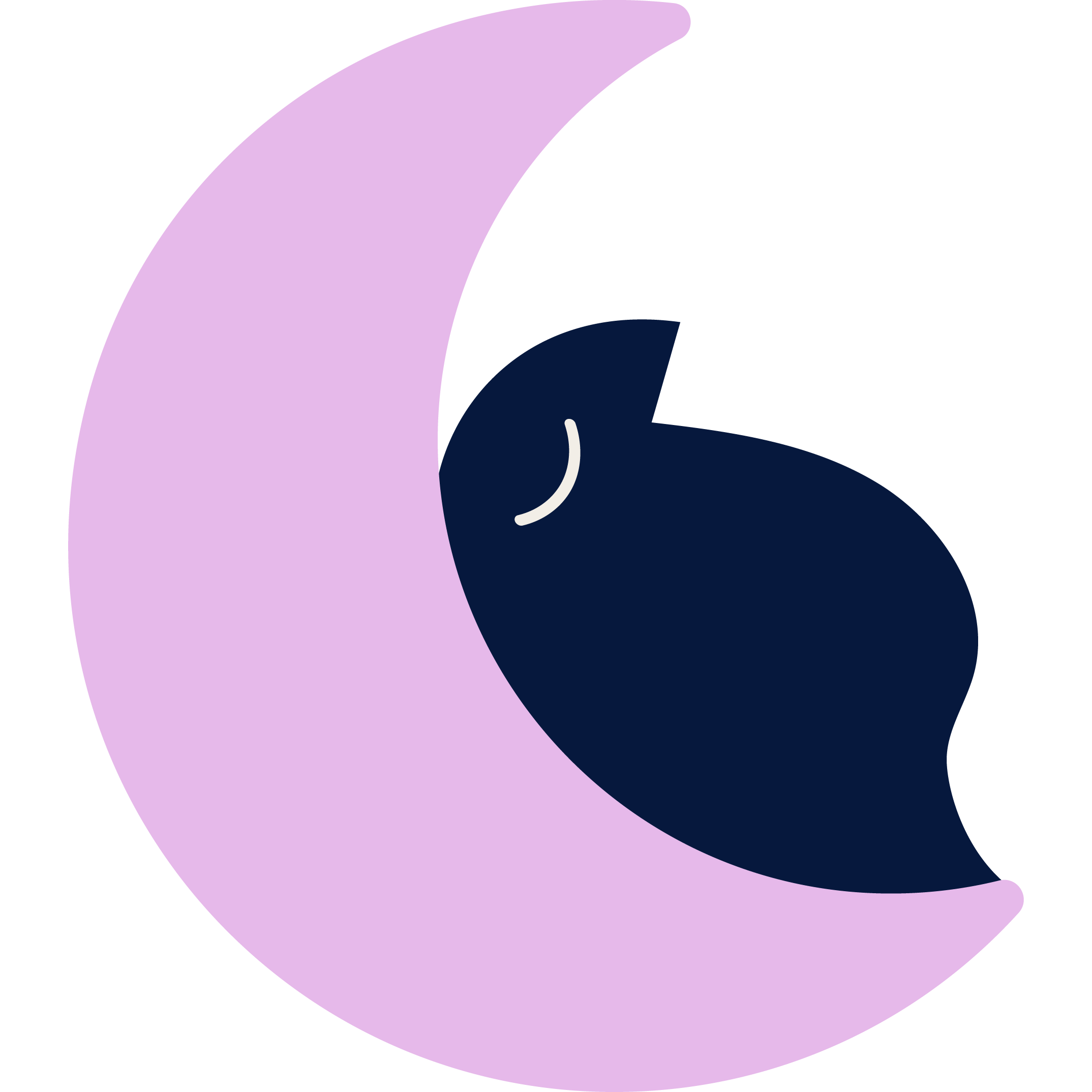 Sleepover illustration - bird on moon