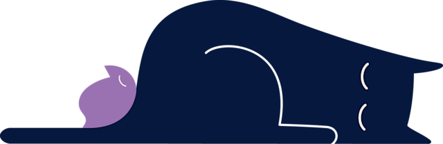 Footer cat image