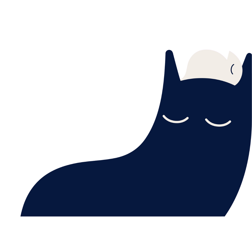 Sleepover Illustrations - cat & bird