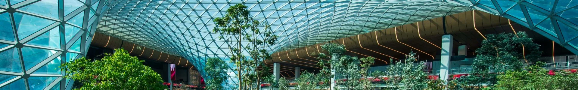 Landscape of the Doha airport scenery including tress