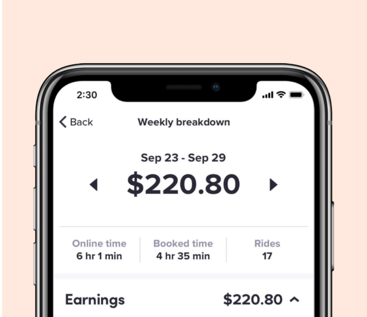 in-app screen of earnings breakdown