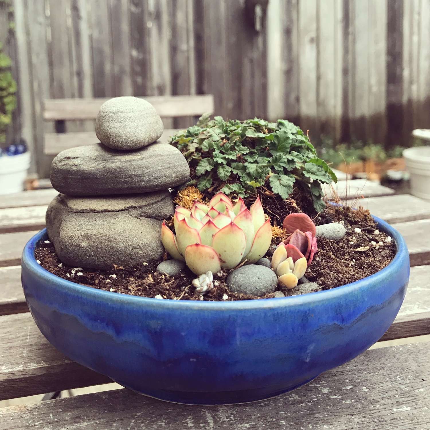 A royal blue planter made of bmix clay with a crystal lagoon glaze, artfully filled with succulents and stones.