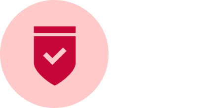 icon of a shield with a check mark