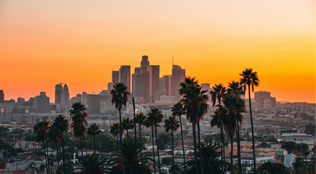 Downtown Los Angeles skyline with tall palm trees at sunset, orange sky in the background.