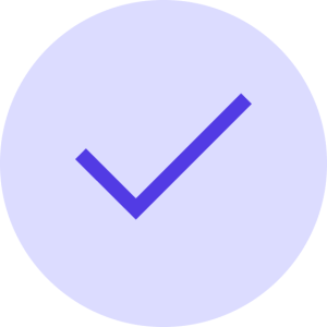 Confirm Check Mark icon - Purple