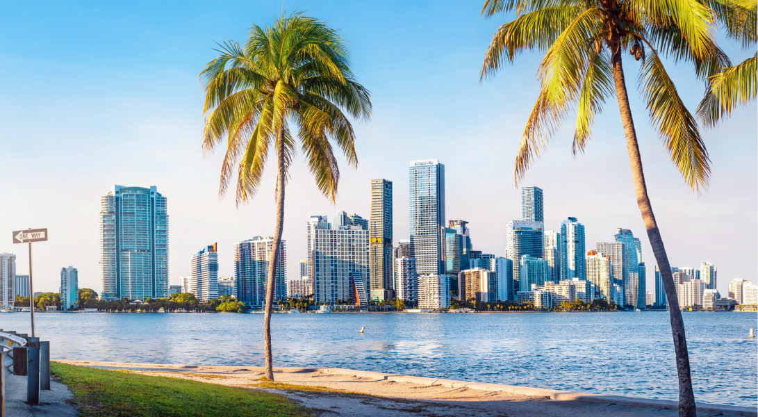 Palm trees by the waterfront with Miami city skyline of tall modern buildings under a clear blue sky.