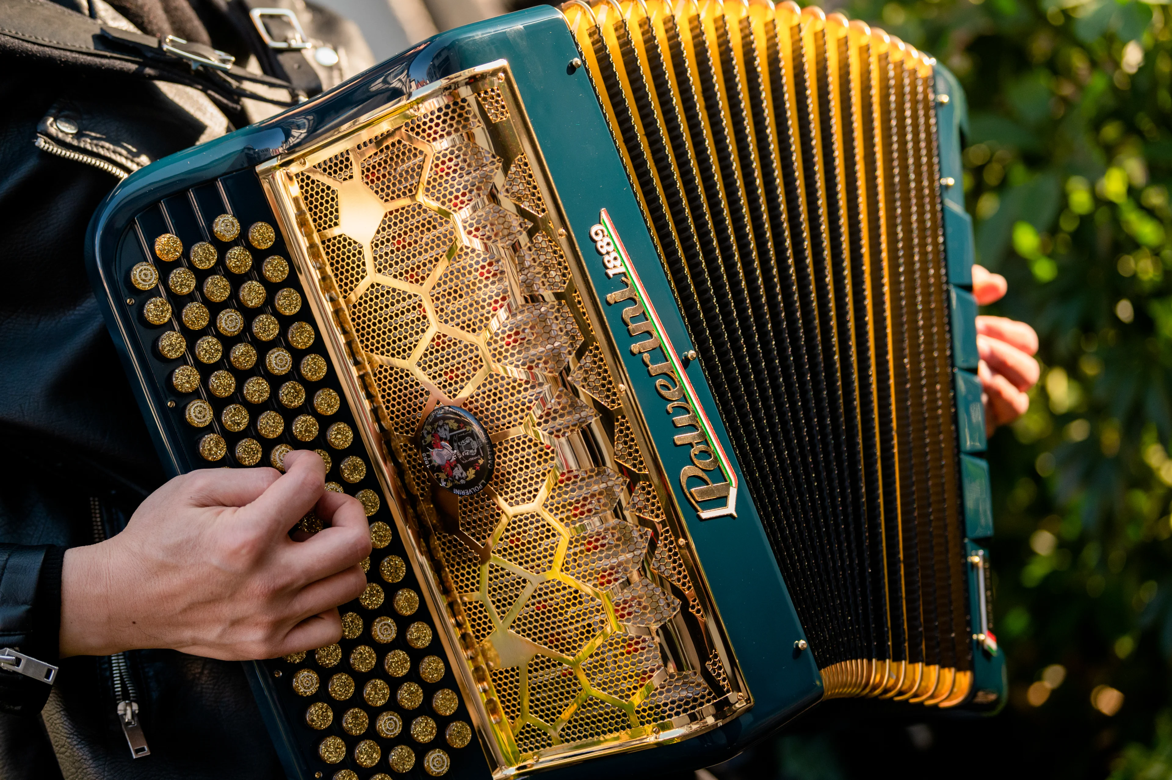 Medium shot of peacock color accordion