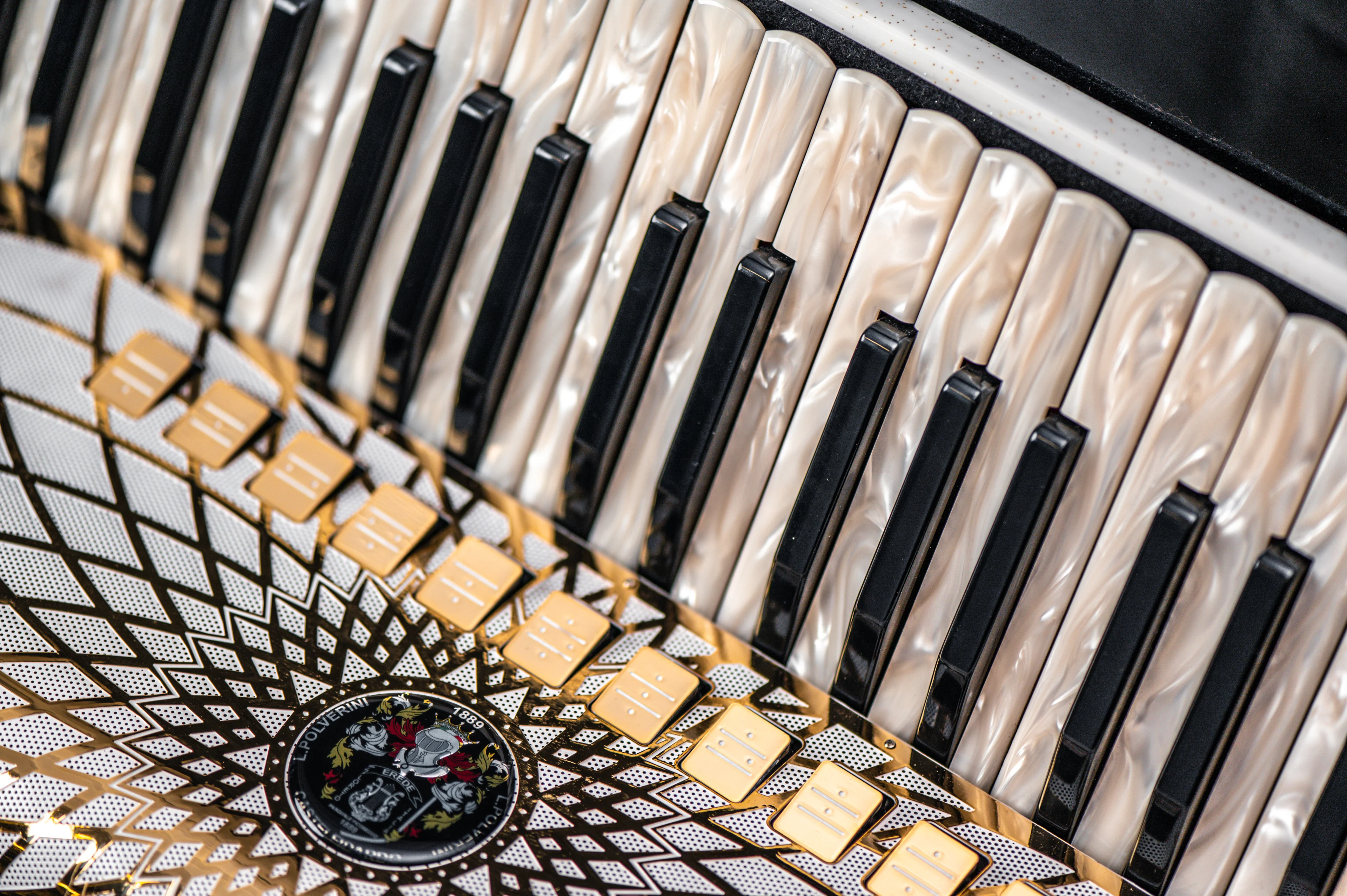 Detailed view of keyboard accordion