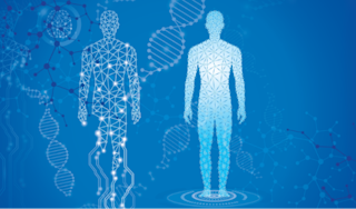 What is Peripheral Neuropathy?