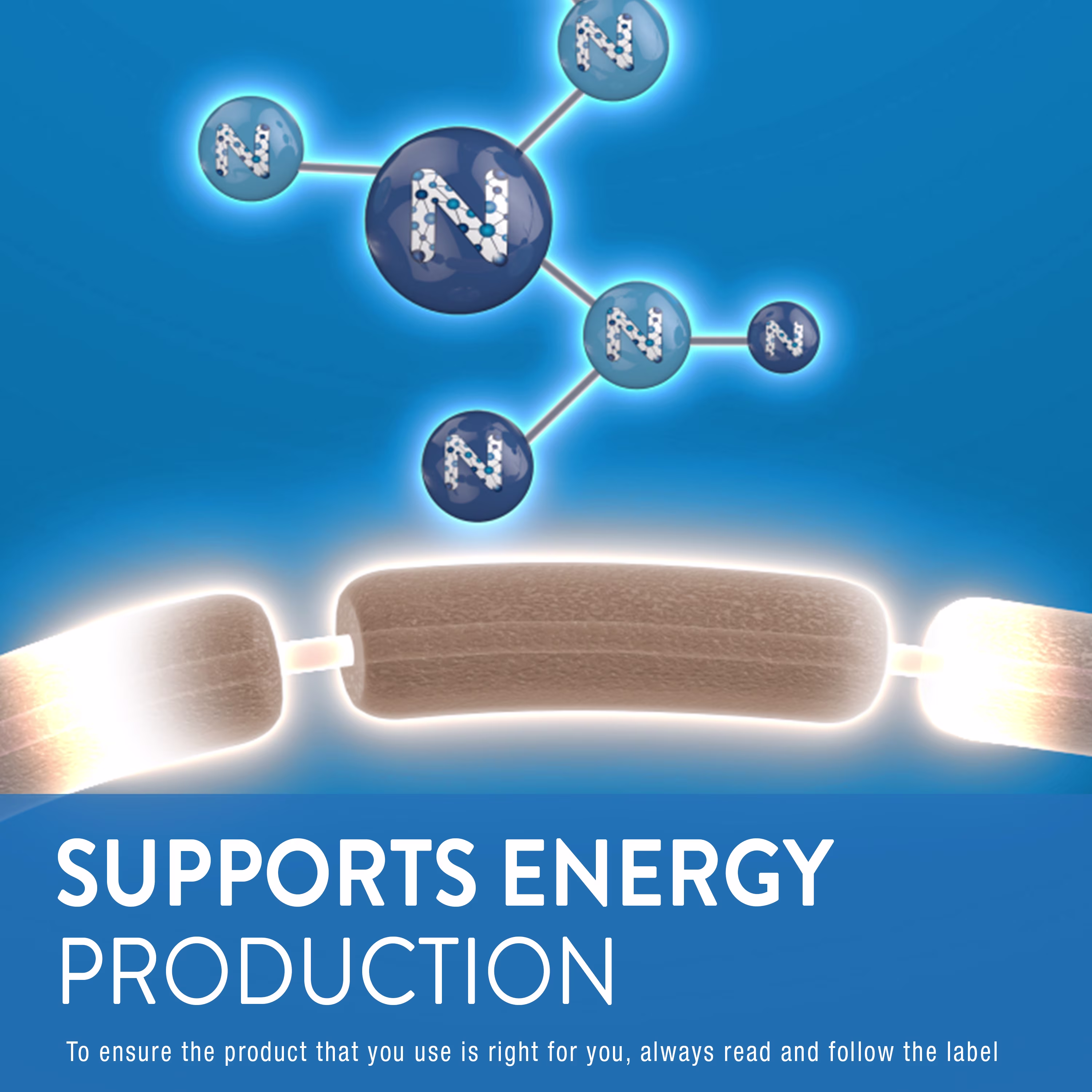 Faits sur le supplément de santé du nerf nerveux