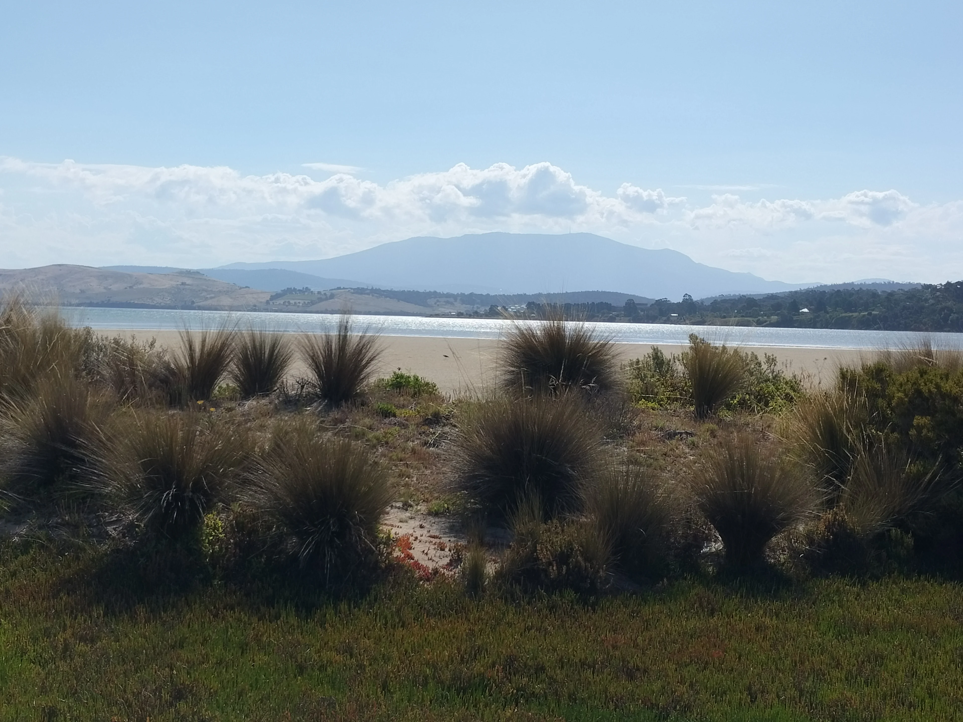 Golden grassland and dunes overlooking a Tasmanian bay, with kunanyi / Mount Wellington in the distance