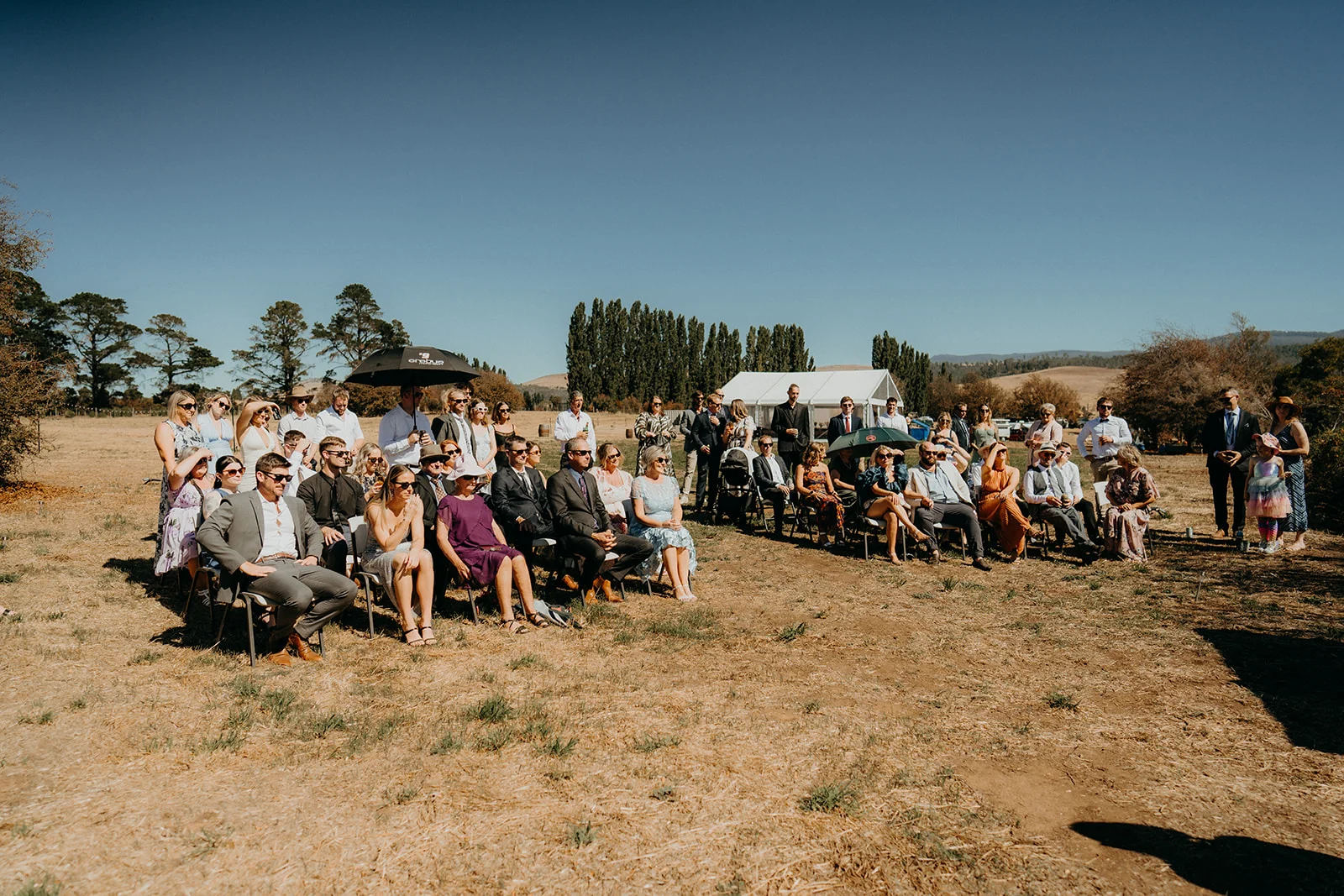 Rows of guests seated on a sunny Tasmanian paddock, watching an outdoor wedding ceremony
