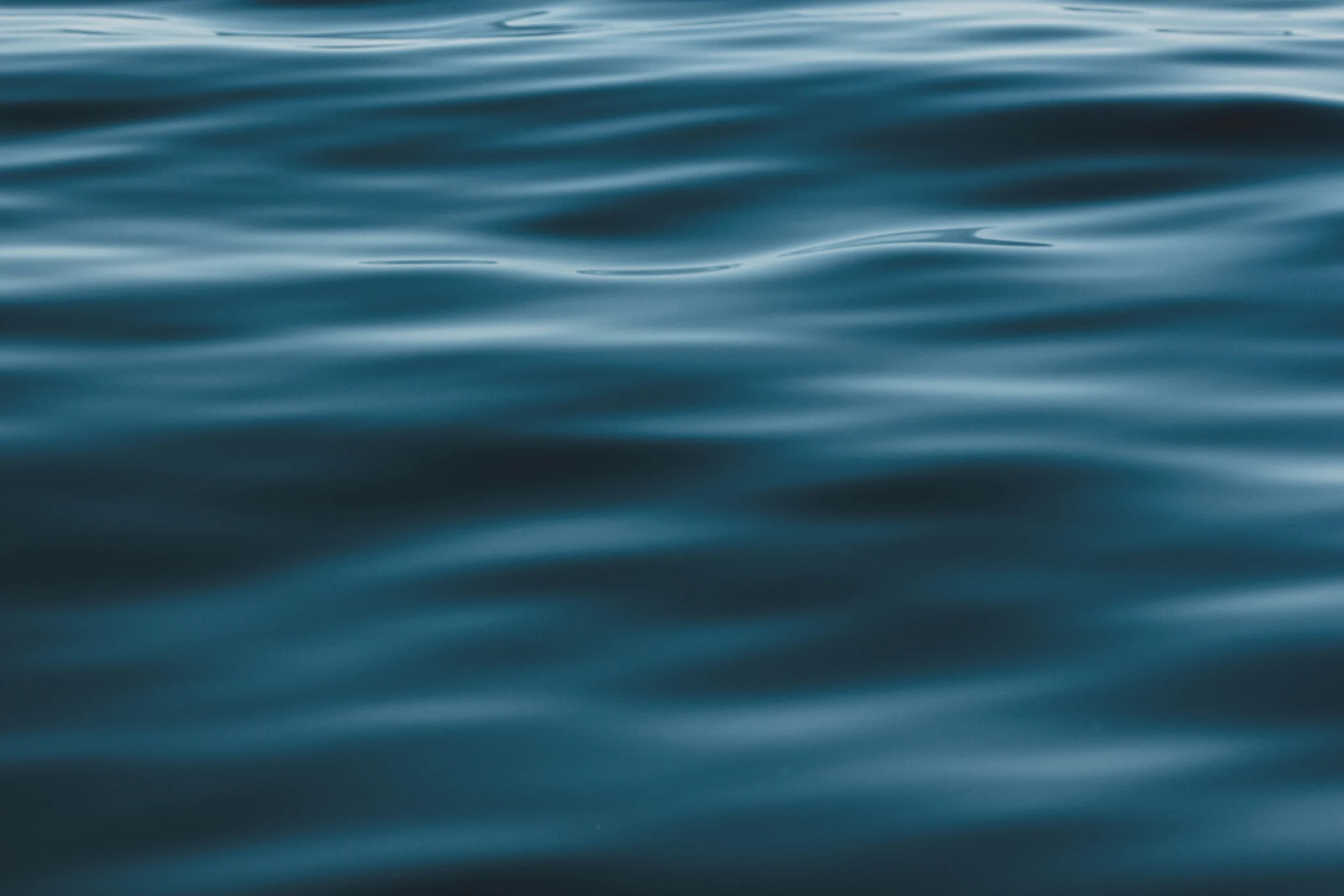 jorge-vasconez-LCaKuYefLQk-unsplash