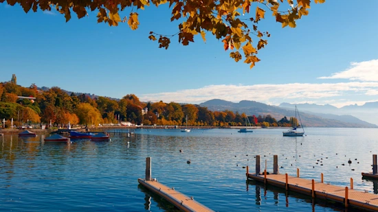 Autumn scenery of Lake Geneva on a sunny day with sailboats and yachts parking under blue clear sky and beautiful fall colours on the lakeside hills, in Ouchy Harbour, Lausanne City, Switzerland, Europe