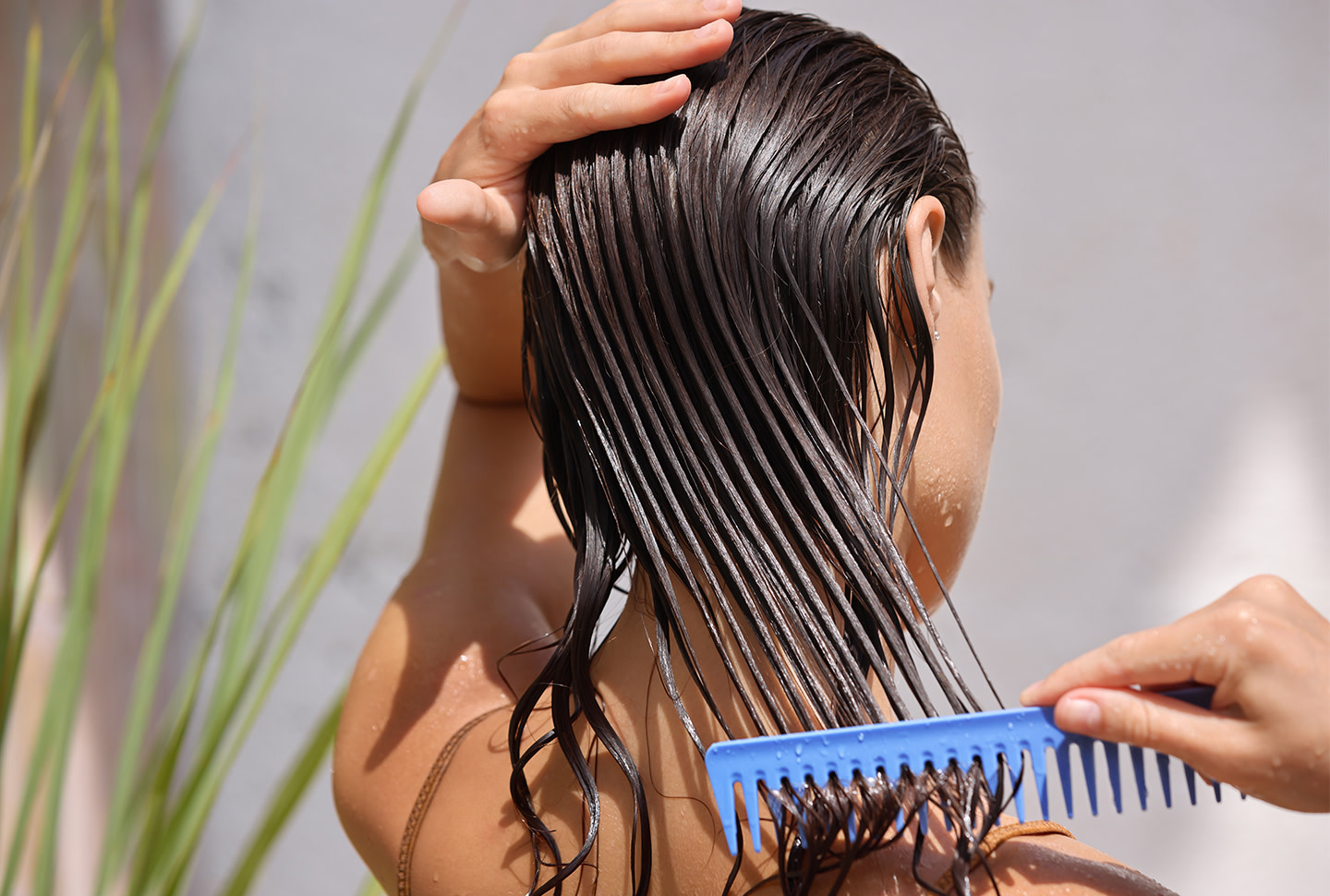 Modelo femenina joven colocando una mascarilla refrescante en su cabello largo húmedo con un peine de madera Modelo femenina joven colocando una mascarilla refrescante en su cabello largo húmedo con un peine de madera