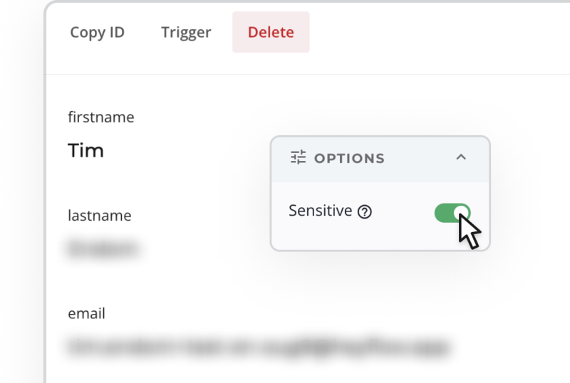 Heyflow screenshot - tag options