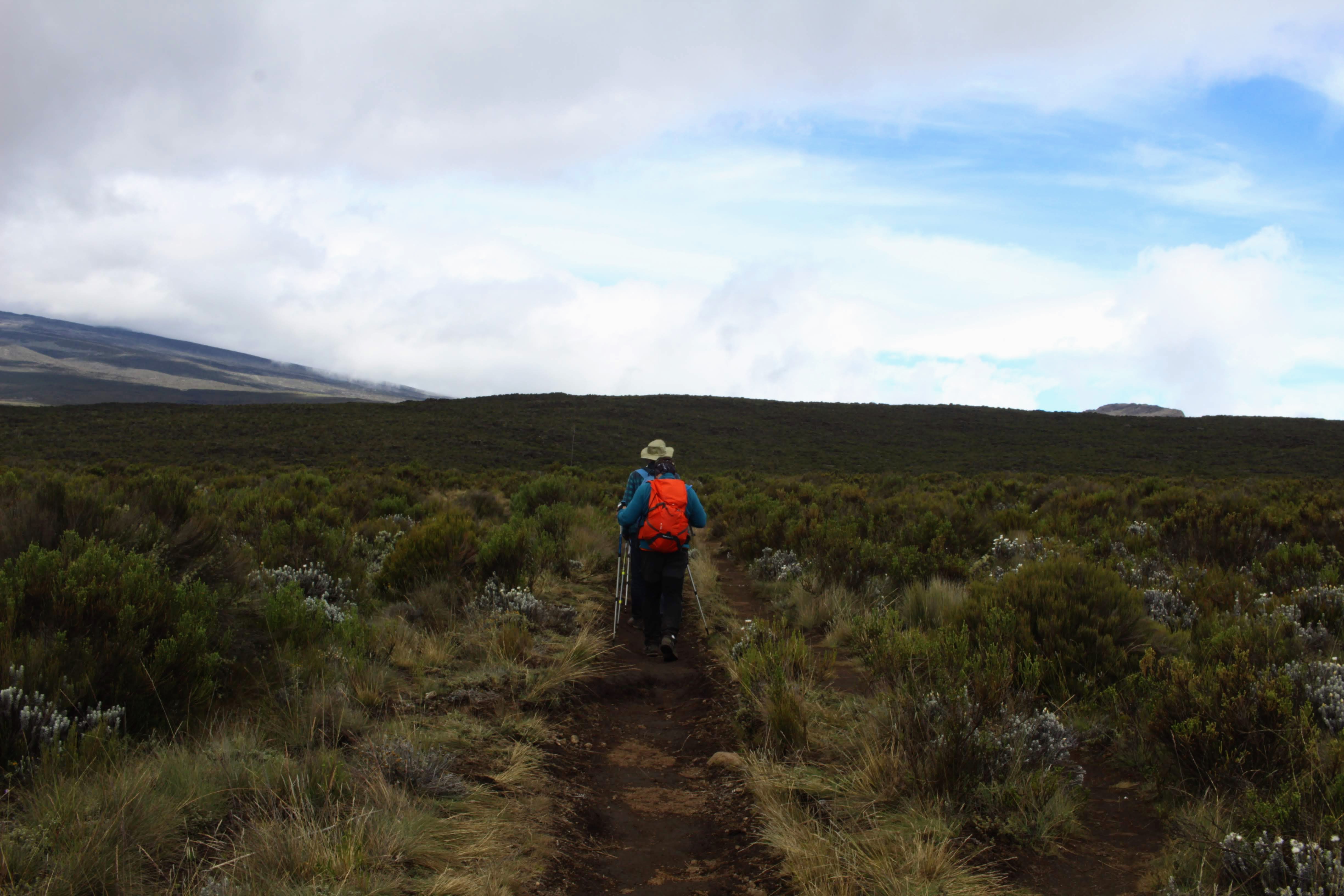 The fabulous view of the Horizon!