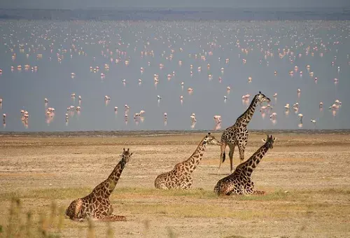 Lake Nakuru NP