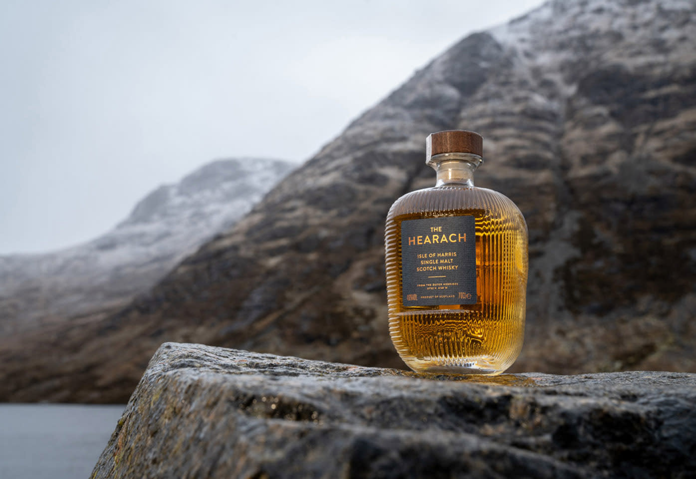 Article Content 199.5: Split Tout Image 4