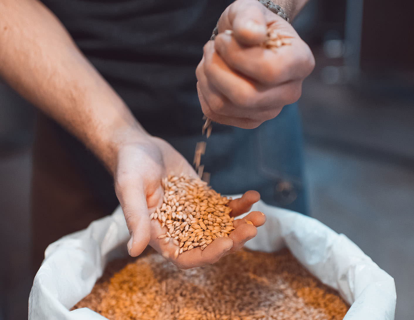 Article Content 195.2: How did your interest and pursuits within the spirits industry begin - Split Tout