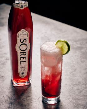 Recipe - Sorel Hibiscus Mule - Featured Image