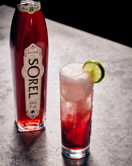 Recipe - Sorel Hibiscus Mule - Featured Image