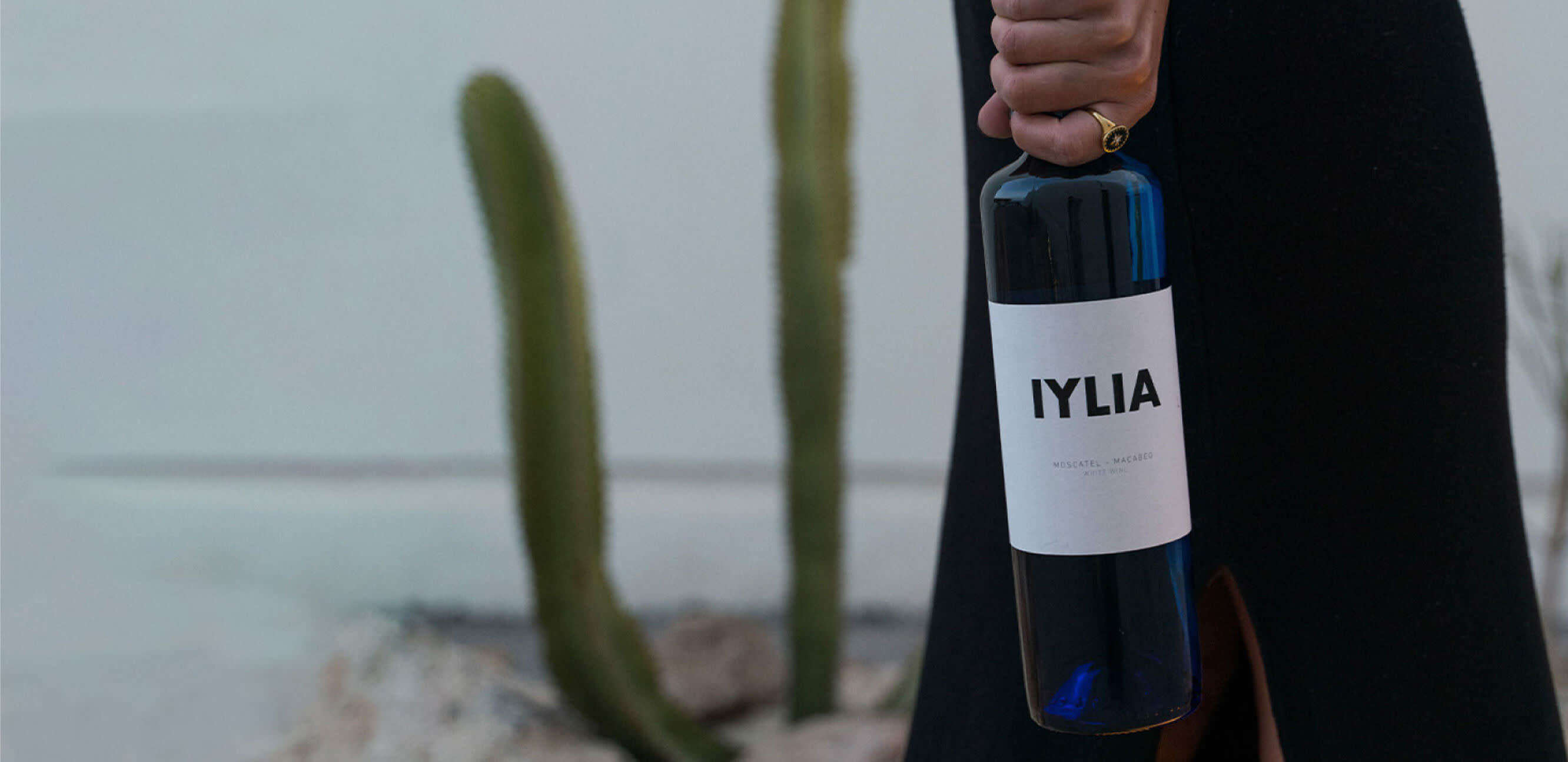 Cocktail Lounge: Fan Favorite Articles - Small 1 Info Card Image The Ultimate Guide to Spanish Wine Regions