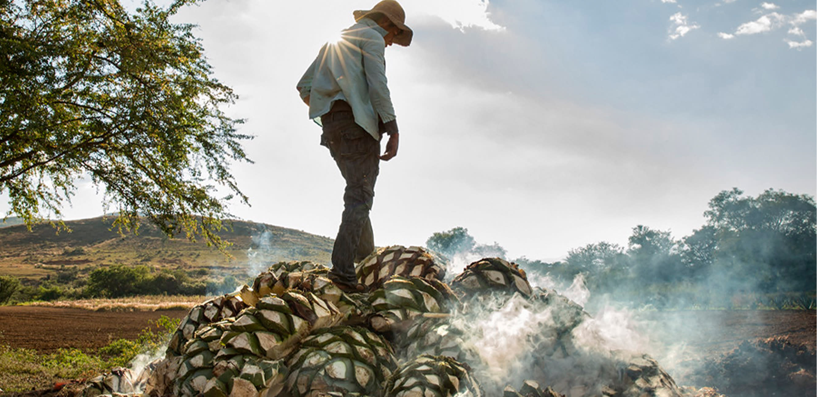 Cocktail Lounge: Recent Articles - Slot 4 Info Image Del Maguey: Painting a Portrait of Mexican Culture