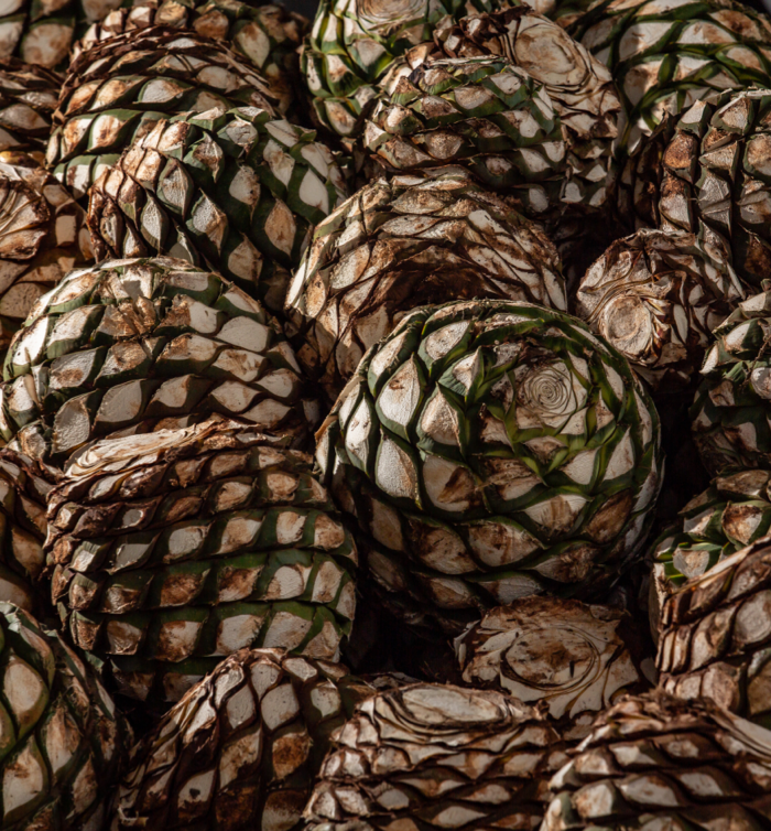 Understanding Agave Spirits