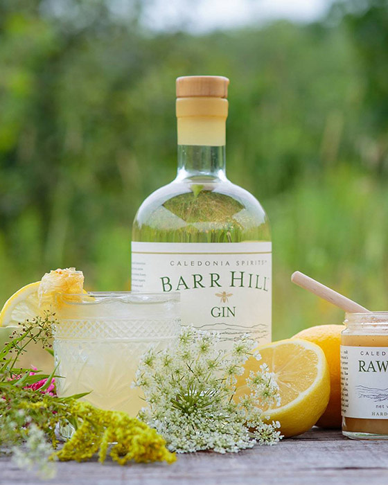 Recipe - Barr Hill Bee's Knees - Featured Image