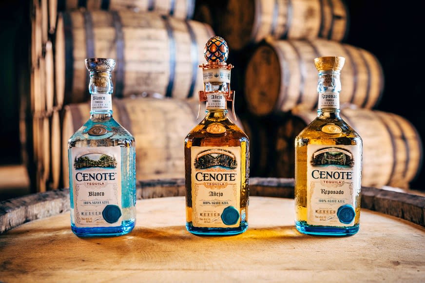Article Content 108.4: When Did Your Work with Tequila Cenote Begin - Split Tout Image Article Content 108.4: When Did Your Work with Tequila Cenote Begin - Split Tout Image